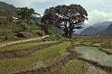 WT 1000 144-20 Nepal